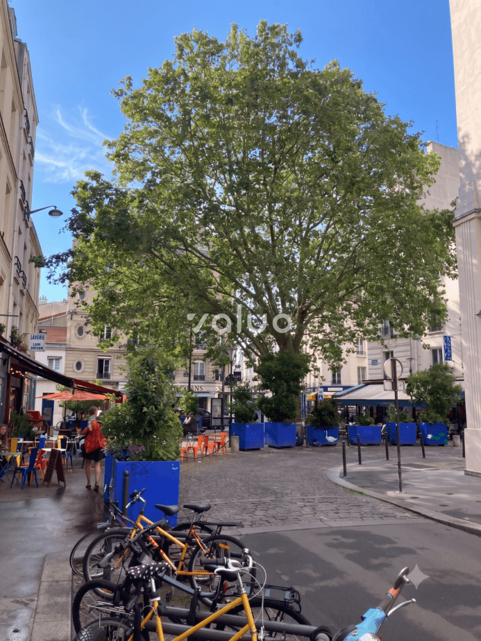 Appartement à vendre à Paris